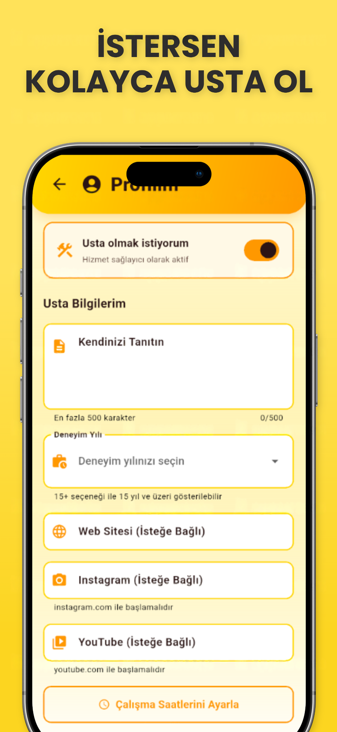 UstaViz Ayarlar